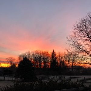 Meet your Posher, Jane